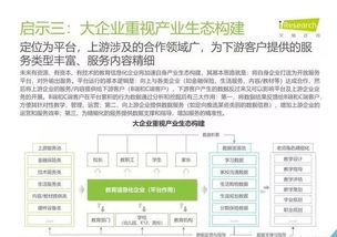 2019年中國(guó)教育信息化行業(yè)報(bào)告 信息技術(shù)咨詢服務(wù)的戰(zhàn)略角色與發(fā)展路徑